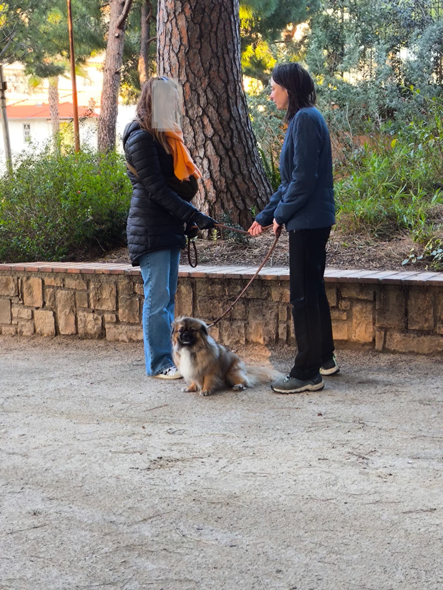 educateur canin antibes seance comportement chien