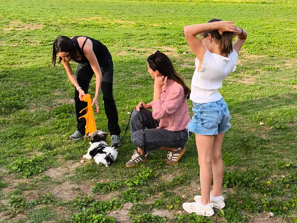 Famille jouant avec un chien dans un parc