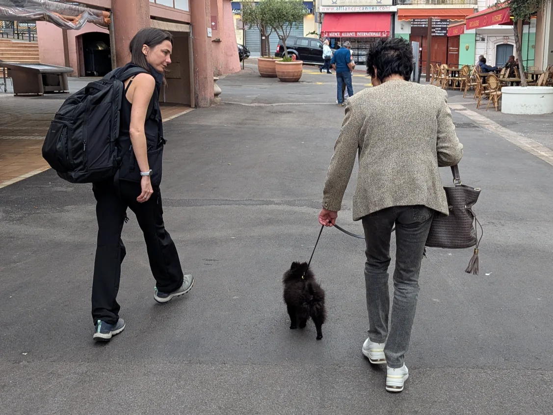 Balade avec un chien dans une rue pietonne a Cannes