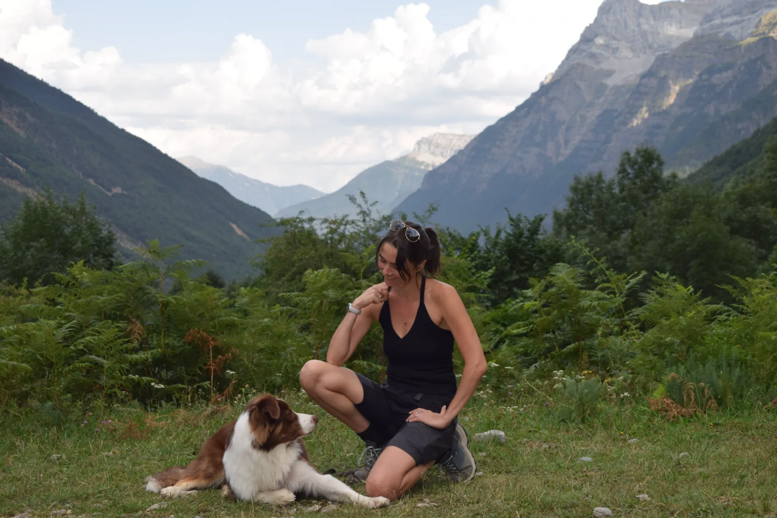 Chien calme pendant une séance d'éducation canine sur la Côte d'Azur